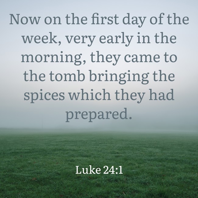 Now on the first day of the week, very early in the morning, they came to the tomb bringing the spices which they had prepared. - Luke 24:1