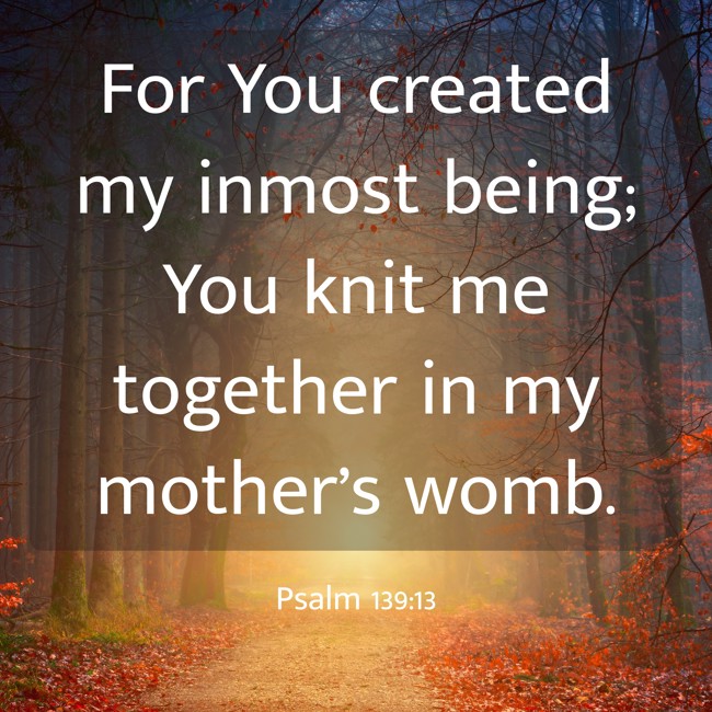 For You created my inmost being; You knit me together in my mother’s womb. - Psalm 139:13