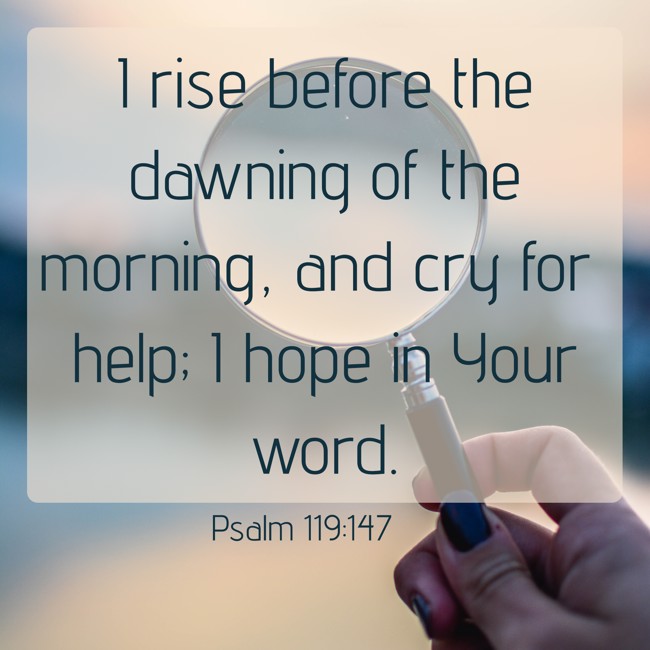 I rise before the dawning of the morning, and cry for help; I hope in Your word. - Psalm 119:147