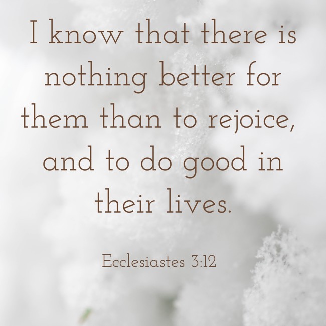 I know that there is nothing better for them than to rejoice, and to do good in their lives. - Ecclesiastes 3:12