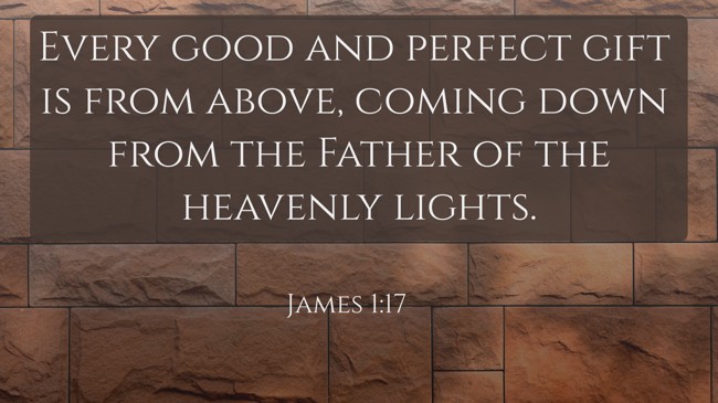 Every good and perfect gift is from above, coming down from the Father of the heavenly lights. - James 1:17