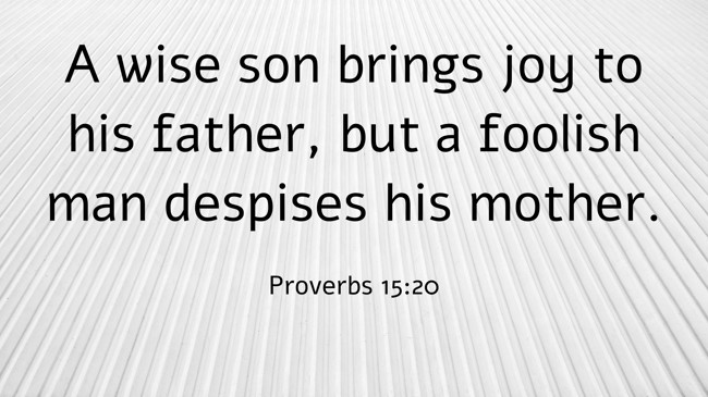 A wise son brings joy to his father, but a foolish man despises his mother. - Proverbs 15:20
