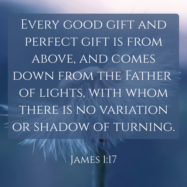 Every good gift and perfect gift is from above, and comes down from the Father of lights, with whom there is no variation or shadow of turning. - James 1:17
