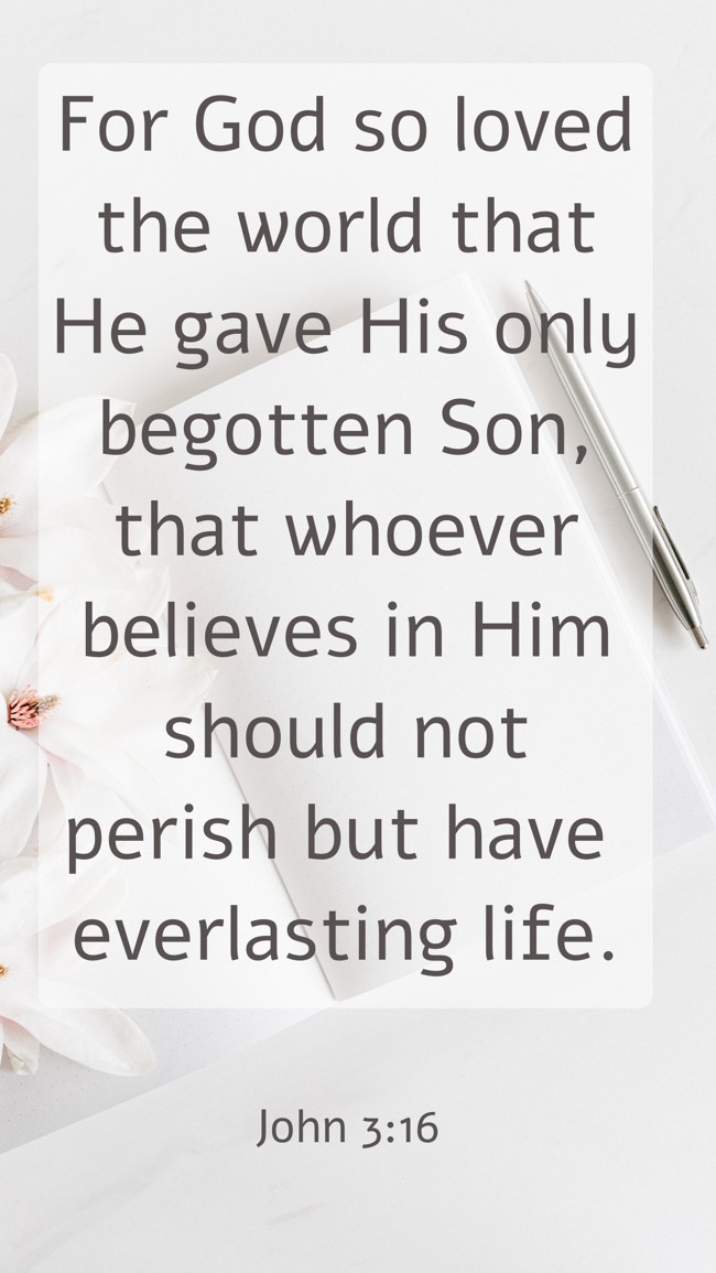  For God so loved the world that He gave His only begotten Son, that whoever believes in Him should not perish but have everlasting life.   - John 3:16 