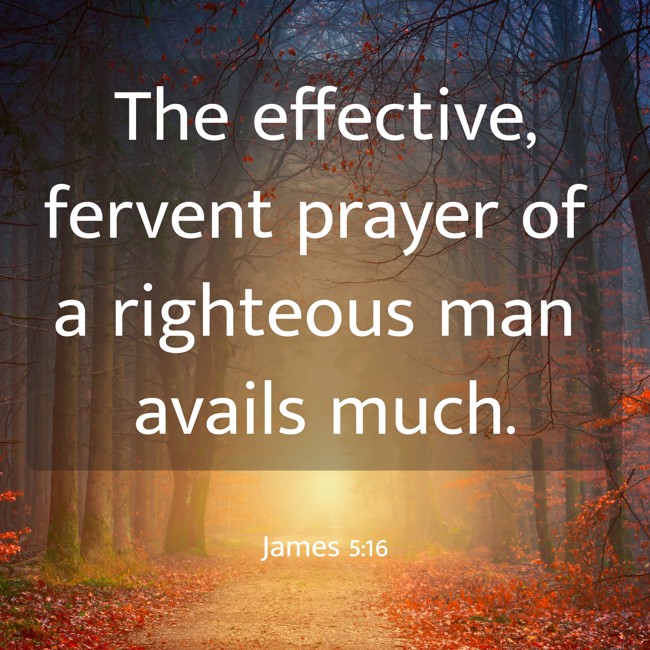 The effective, fervent prayer of a righteous man avails much. - James 5:16