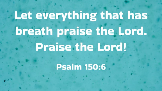 Let everything that has breath praise the Lord. Praise the Lord! - Psalm 150:6