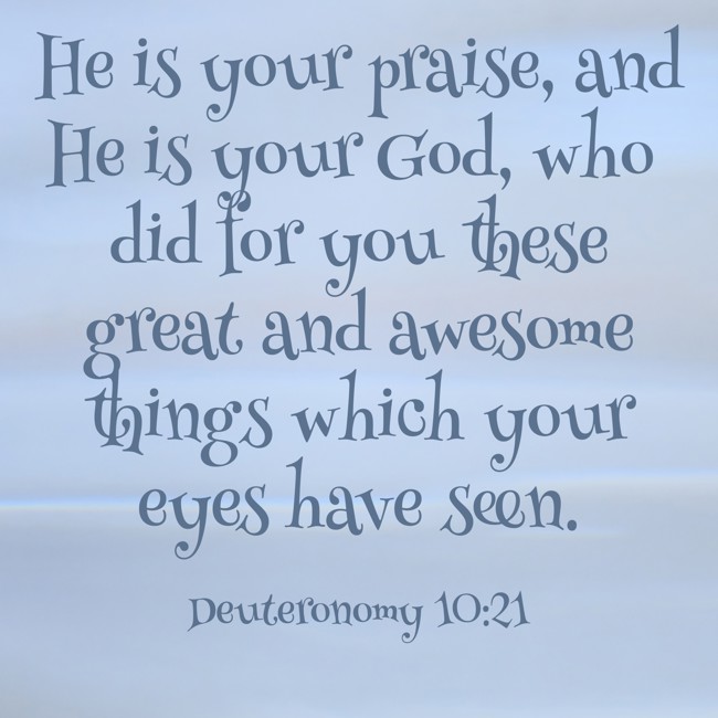He is your praise, and He is your God, who did for you these great and awesome things which your eyes have seen. - Deuteronomy 10:21