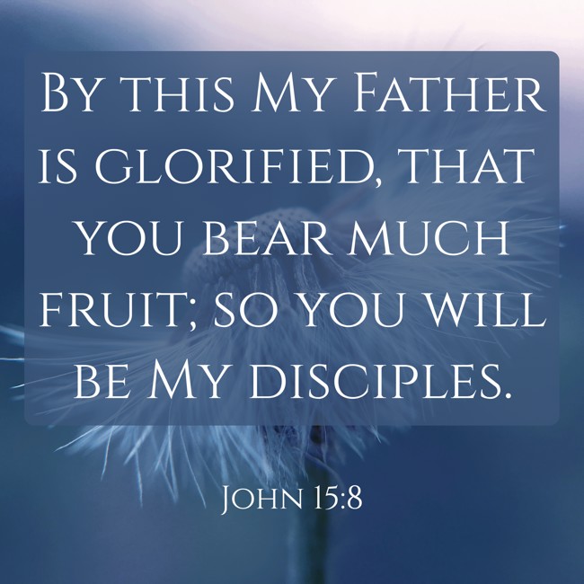 By this My Father is glorified, that you bear much fruit; so you will be My disciples. - John 15:8