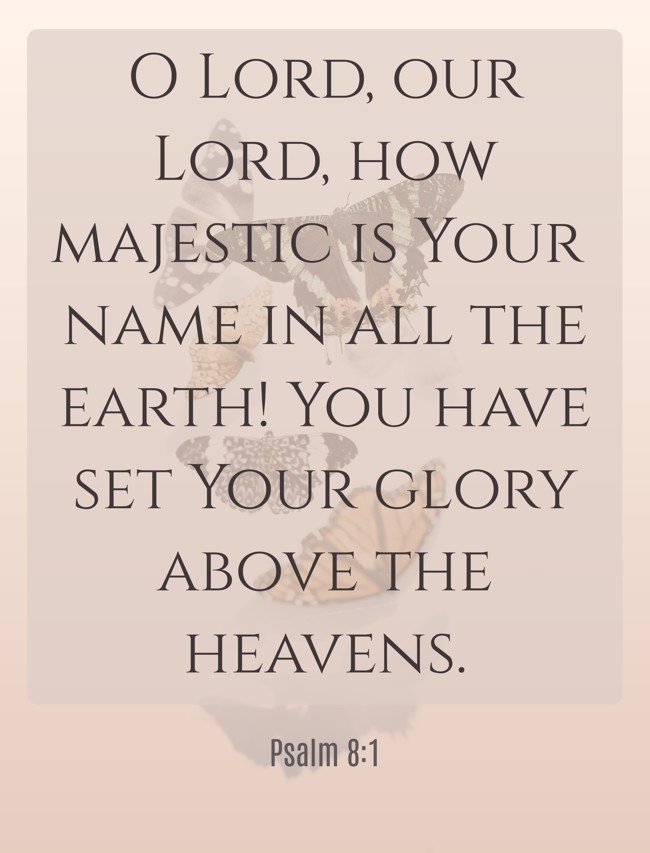 O Lord, our Lord, how majestic is Your name in all the earth! You have set Your glory above the heavens. - Psalm 8:1