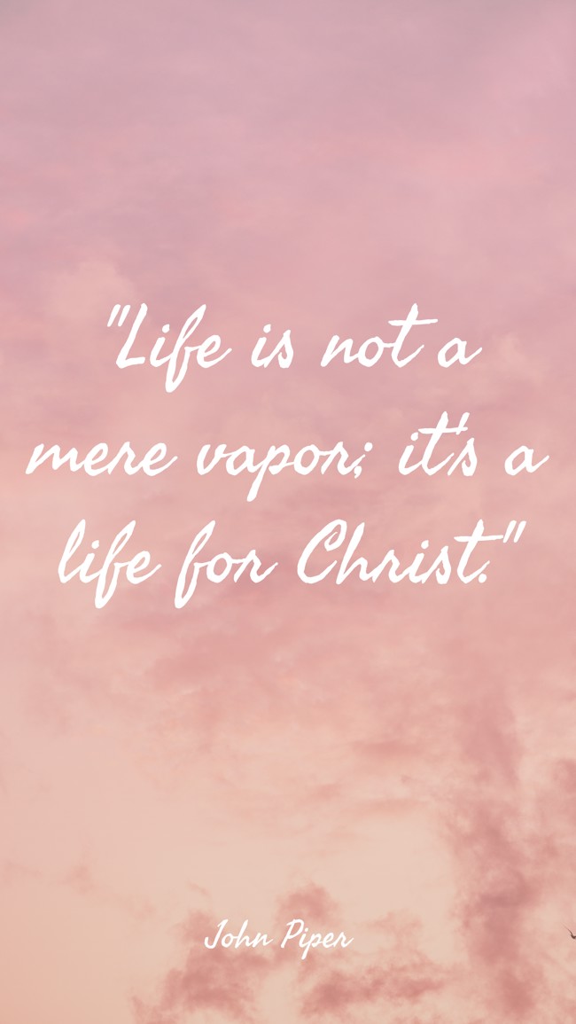 Life is not a mere vapor; it's a life for Christ. - John Piper