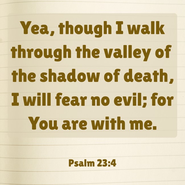 Yea, though I walk through the valley of the shadow of death, I will fear no evil; for You are with me. - Psalm 23:4