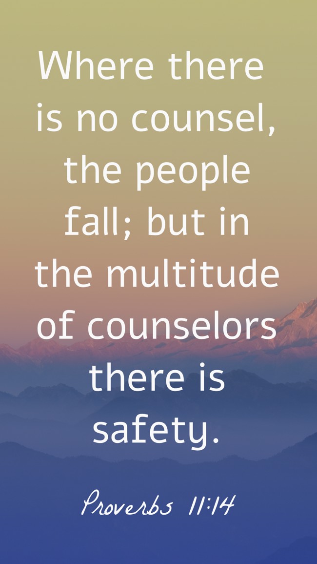 Where there is no counsel, the people fall; but in the multitude of counselors there is safety. - Proverbs 11:14
