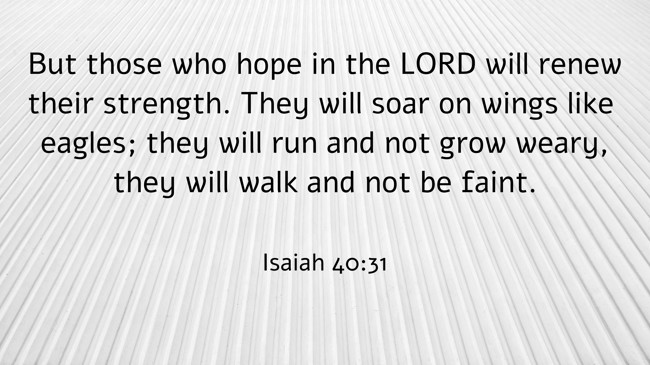 But those who hope in the LORD will renew their strength. They will soar on wings like eagles; they will run and not grow weary, they will walk and not be faint. - Isaiah 40:31