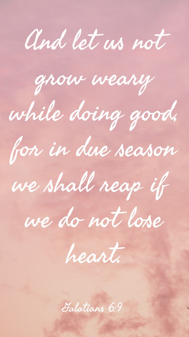 And let us not grow weary while doing good, for in due season we shall reap if we do not lose heart. - Galatians 6:9