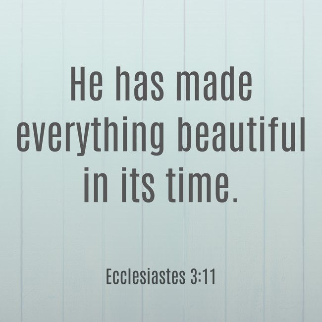 He has made everything beautiful in its time. - Ecclesiastes 3:11