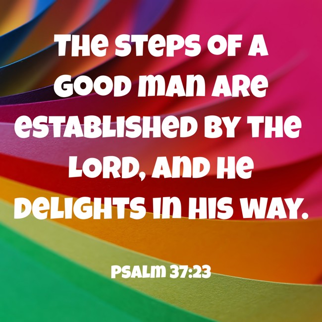The steps of a good man are established by the LORD, and He delights in his way. - Psalm 37:23
