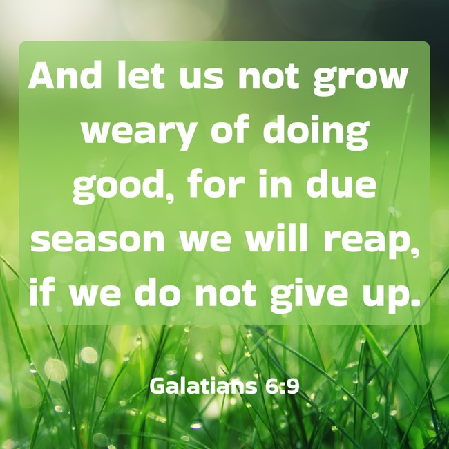 And let us not grow weary of doing good, for in due season we will reap, if we do not give up. - Galatians 6:9