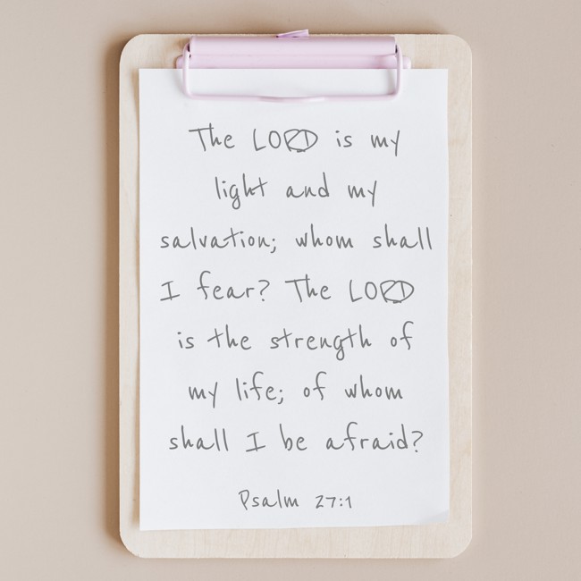 The LORD is my light and my salvation; whom shall I fear? The LORD is the strength of my life; of whom shall I be afraid? - Psalm 27:1