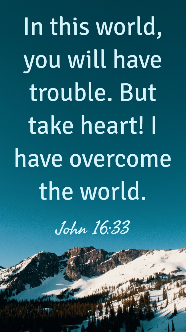 In this world, you will have trouble. But take heart! I have overcome the world. - John 16:33