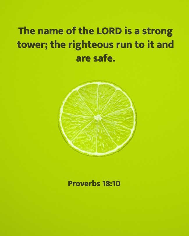 The name of the LORD is a strong tower; the righteous run to it and are safe. - Proverbs 18:10