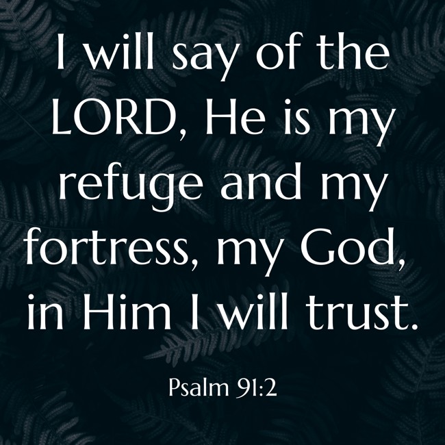 I will say of the LORD, He is my refuge and my fortress, my God, in Him I will trust. - Psalm 91:2