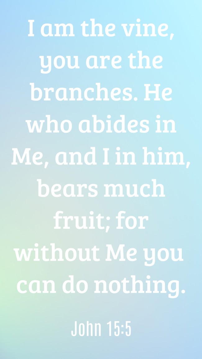 I am the vine, you are the branches. He who abides in Me, and I in him, bears much fruit; for without Me you can do nothing. - John 15:5