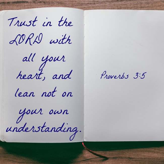  Trust in the LORD with all your heart, and lean not on your own understanding.   - Proverbs 3:5 