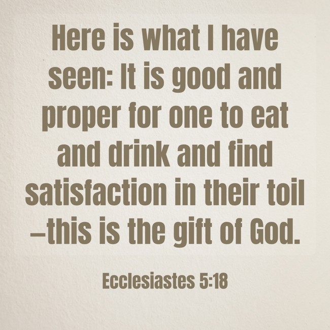  Here is what I have seen: It is good and proper for one to eat and drink and find satisfaction in their toil—this is the gift of God.   - Ecclesiastes 5:18 