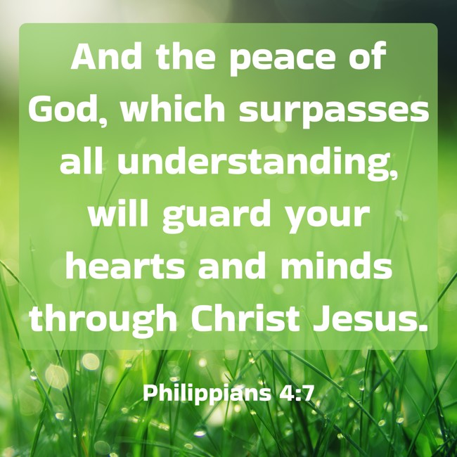 And the peace of God, which surpasses all understanding, will guard your hearts and minds through Christ Jesus. - Philippians 4:7