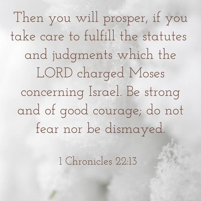 Then you will prosper, if you take care to fulfill the statutes and judgments which the LORD charged Moses concerning Israel. Be strong and of good courage; do not fear nor be dismayed. - 1 Chronicles 22:13