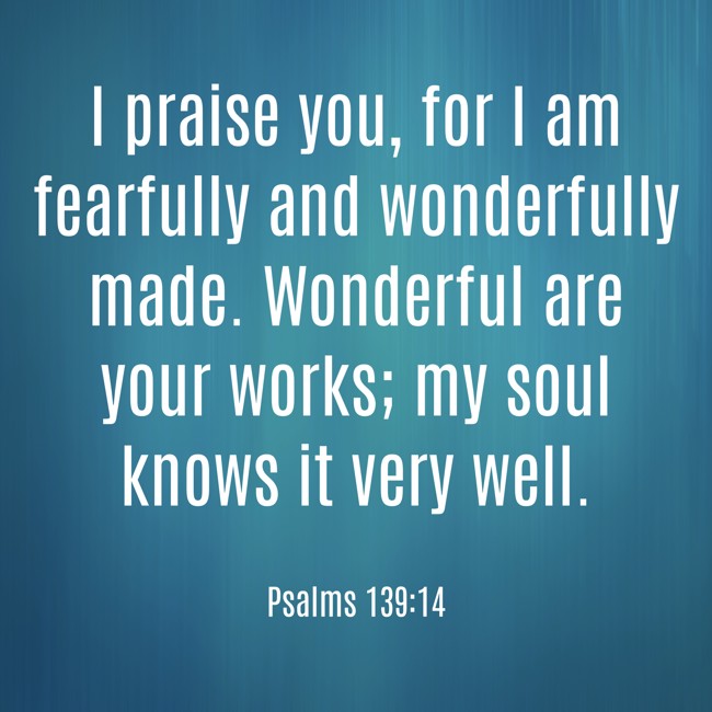 I praise you, for I am fearfully and wonderfully made. Wonderful are your works; my soul knows it very well. - Psalms 139:14
