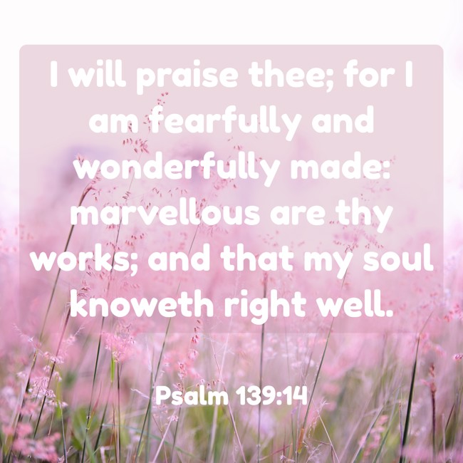  I will praise thee; for I am fearfully and wonderfully made: marvellous are thy works; and that my soul knoweth right well.   - Psalm 139:14 
