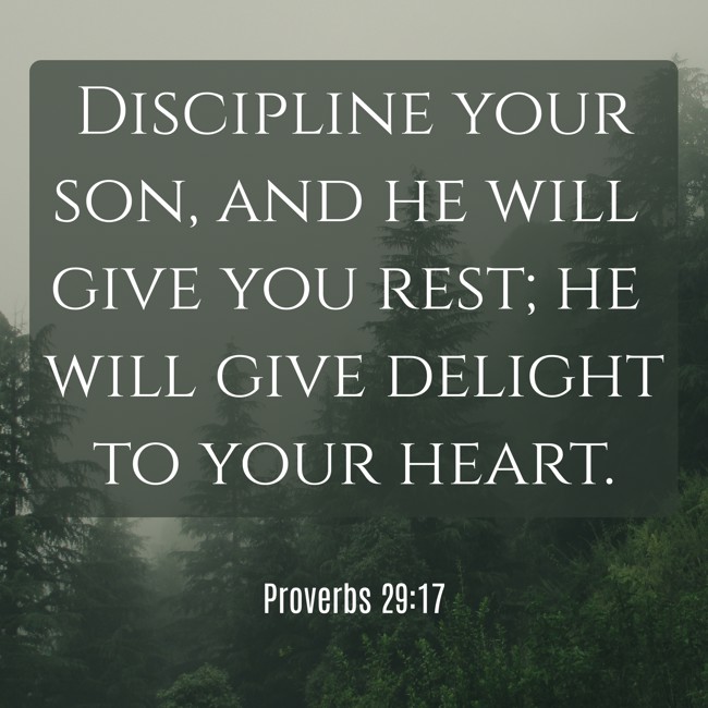 Discipline your son, and he will give you rest; he will give delight to your heart. - Proverbs 29:17