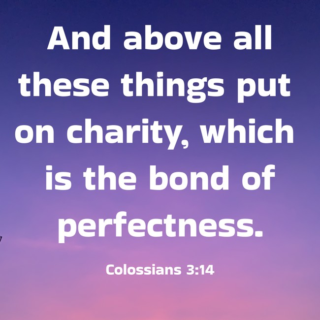  And above all these things put on charity, which is the bond of perfectness.   - Colossians 3:14 