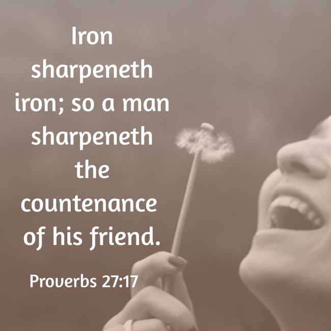  Iron sharpeneth iron; so a man sharpeneth the countenance of his friend.   - Proverbs 27:17 