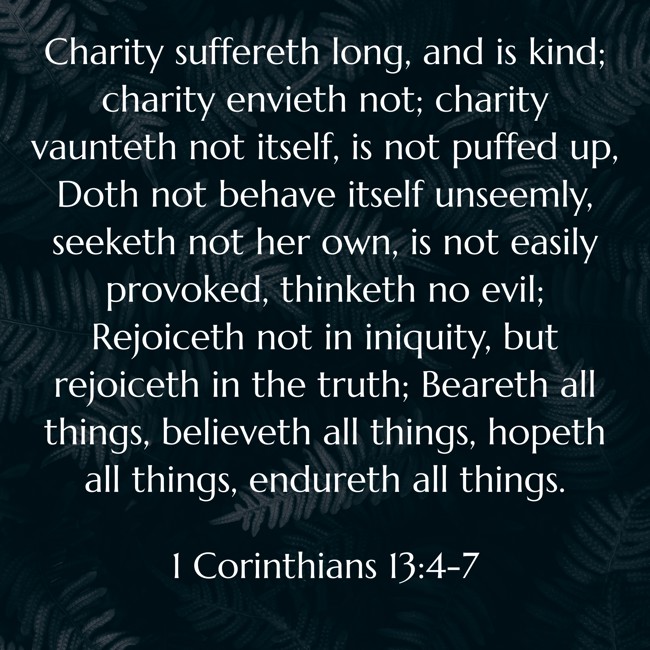  Charity suffereth long, and is kind; charity envieth not; charity vaunteth not itself, is not puffed up, Doth not behave itself unseemly, seeketh not her own, is not easily provoked, thinketh no evil; Rejoiceth not in iniquity, but rejoiceth in the truth; Beareth all things, believeth all things, hopeth all things, endureth all things.   - 1 Corinthians 13:4-7 