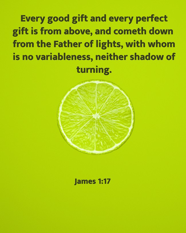  Every good gift and every perfect gift is from above, and cometh down from the Father of lights, with whom is no variableness, neither shadow of turning.   - James 1:17 