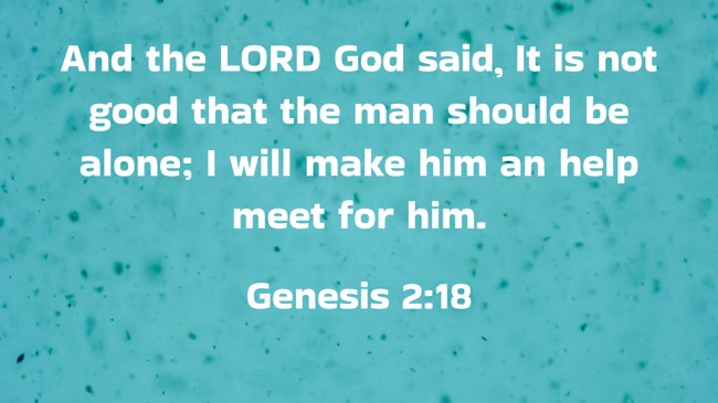  And the LORD God said, It is not good that the man should be alone; I will make him an help meet for him.   - Genesis 2:18 