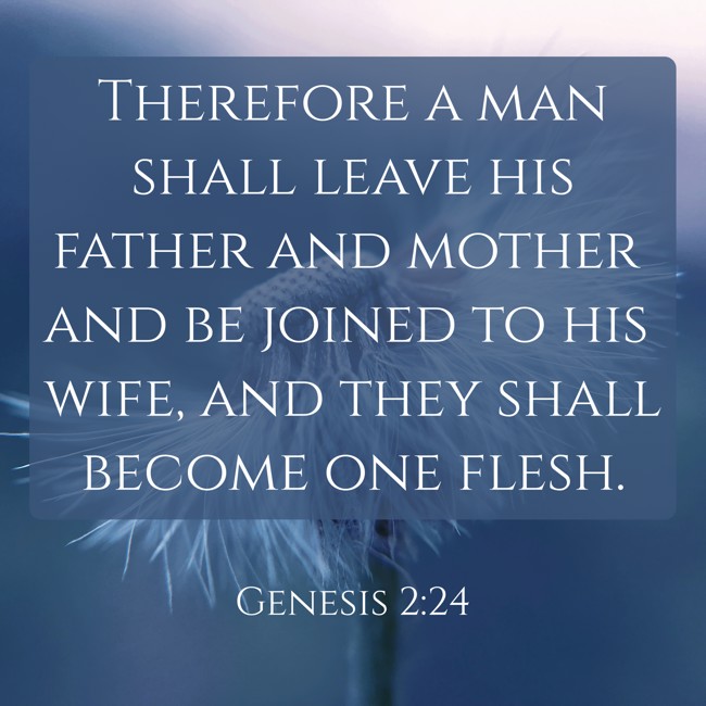  Therefore a man shall leave his father and mother and be joined to his wife, and they shall become one flesh.   - Genesis 2:24 