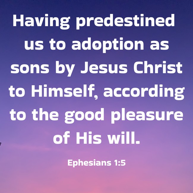  Having predestined us to adoption as sons by Jesus Christ to Himself, according to the good pleasure of His will.   - Ephesians 1:5 