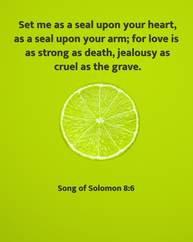 Set me as a seal upon your heart, as a seal upon your arm; for love is as strong as death, jealousy as cruel as the grave. - Song of Solomon 8:6