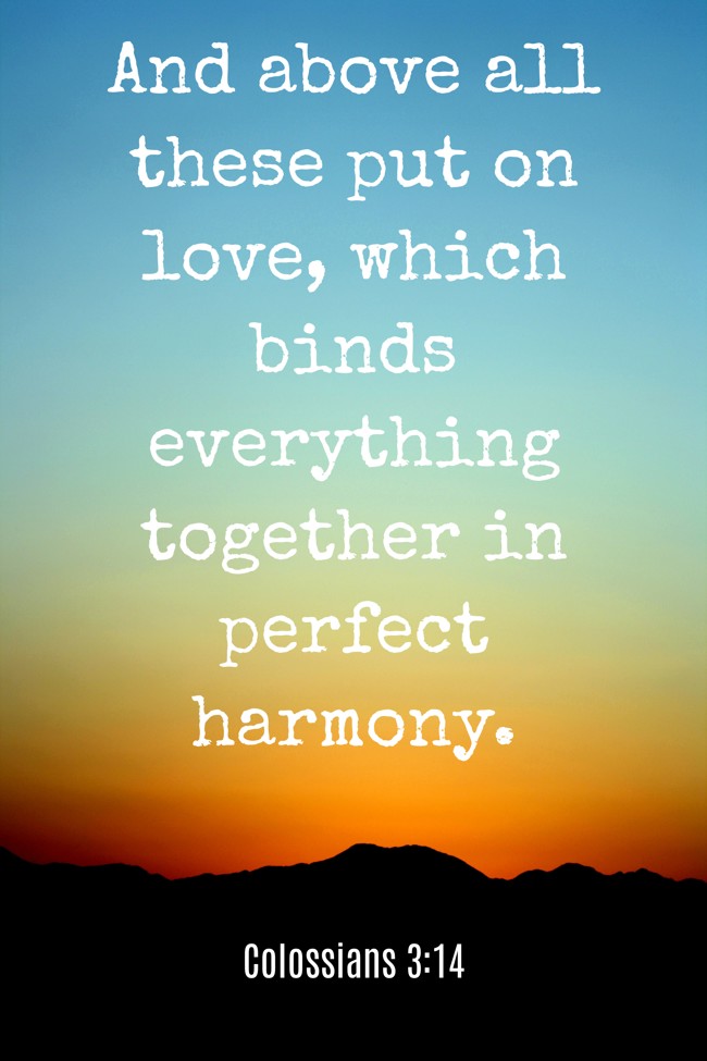 And above all these put on love, which binds everything together in perfect harmony. - Colossians 3:14