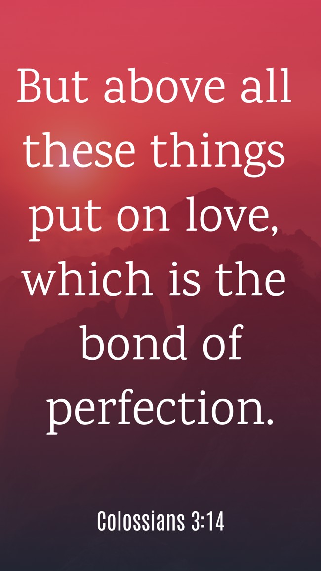  But above all these things put on love, which is the bond of perfection.   - Colossians 3:14 