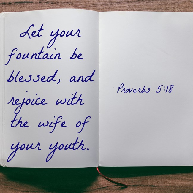  Let your fountain be blessed, and rejoice with the wife of your youth.   - Proverbs 5:18 