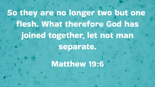 So they are no longer two but one flesh. What therefore God has joined together, let not man separate. - Matthew 19:6