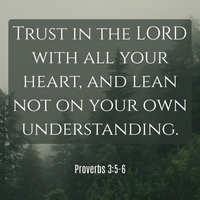 Trust in the LORD with all your heart, and lean not on your own understanding. - Proverbs 3:5-6