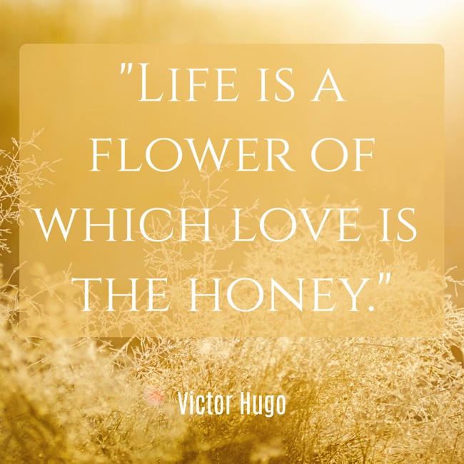  Life is a flower of which love is the honey.   - Victor Hugo 