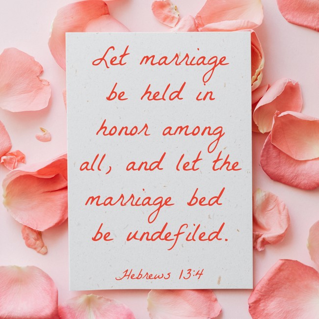 Let marriage be held in honor among all, and let the marriage bed be undefiled. - Hebrews 13:4