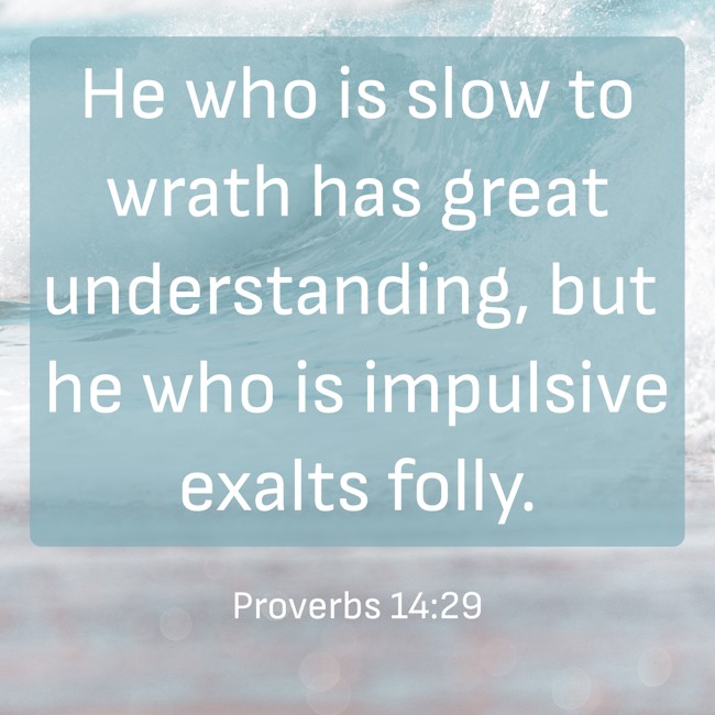 He who is slow to wrath has great understanding, but he who is impulsive exalts folly. - Proverbs 14:29