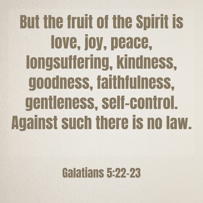 But the fruit of the Spirit is love, joy, peace, longsuffering, kindness, goodness, faithfulness, gentleness, self-control. Against such there is no law. - Galatians 5:22-23